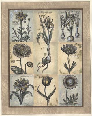 Eleanor's Treasure II