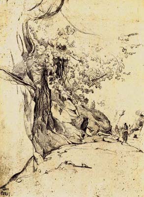 Sepia Tree Study