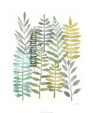 Watercolor Botany II