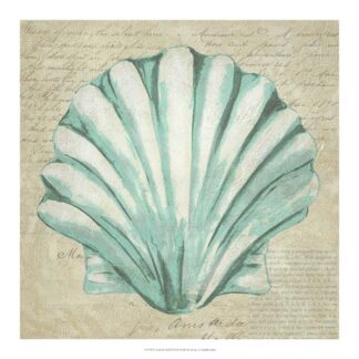 Seafoam Shell II