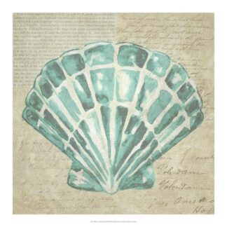Seafoam Shell III