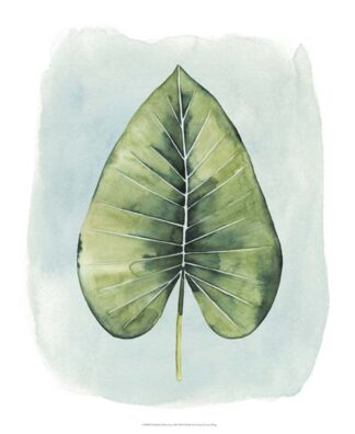 Paradise Palm Leaves III