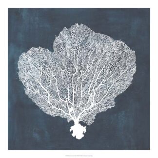 Inverse Sea Fan I