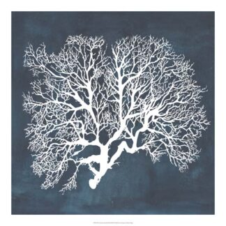 Inverse Sea Fan III
