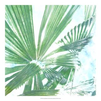 Emerald Palms II
