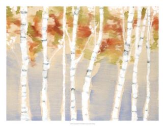 Swaying Birches II