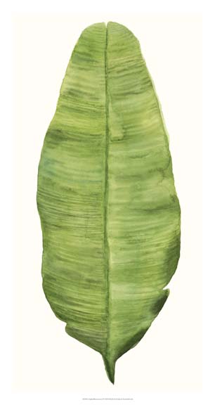 Tropical Breeze Leaves IV