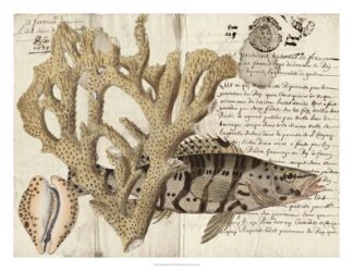 Sealife Journal II