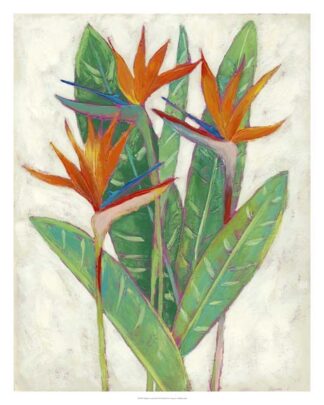 Paradise Vacation II