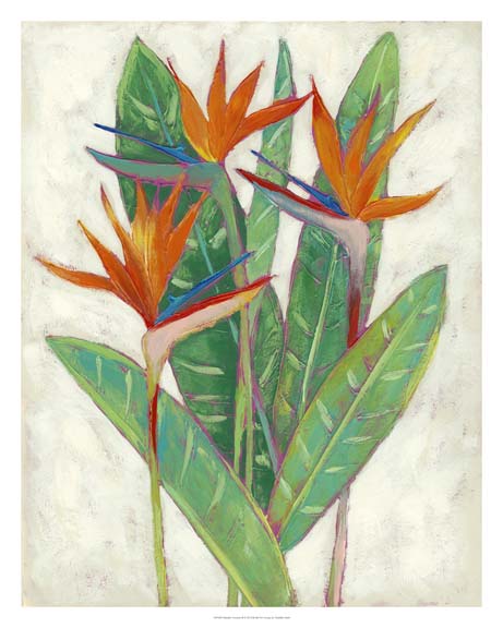 Paradise Vacation II