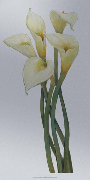 Callas on Silver I