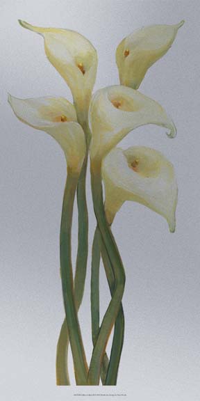 Callas on Silver II
