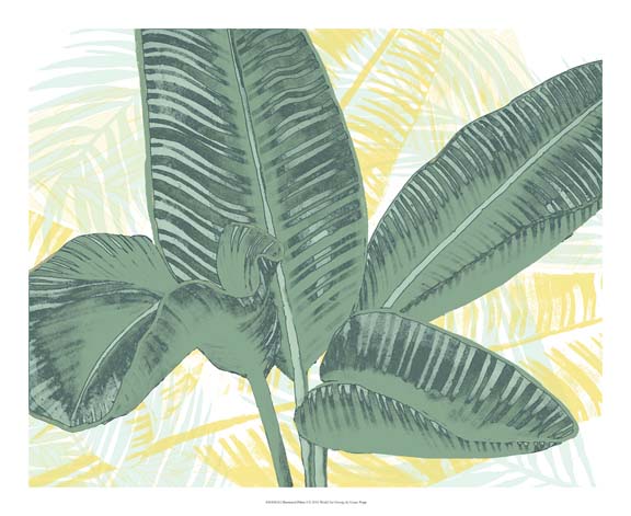 Illustrated Palms I