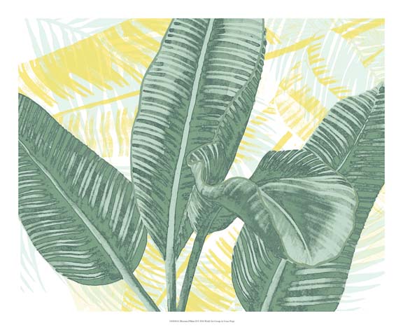 Illustrated Palms II