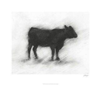Charcoal Bovine Study II