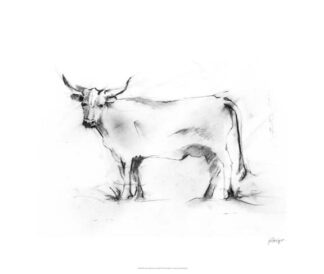 Charcoal Bovine Study III