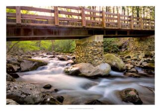 Bridge and Cascade III