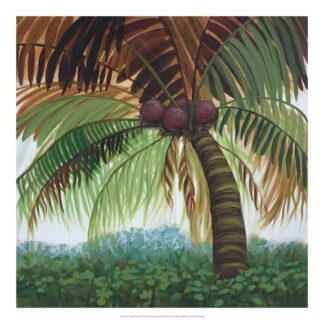 Tropic Palm II
