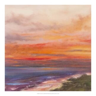 The Calm of the Wild