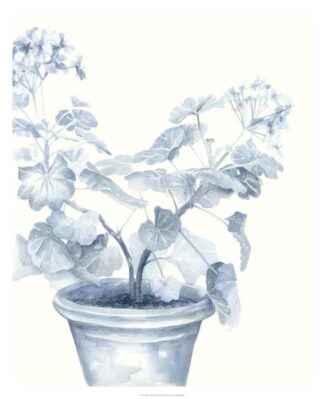 Blue Geranium I