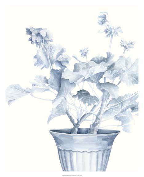 Blue Geranium II