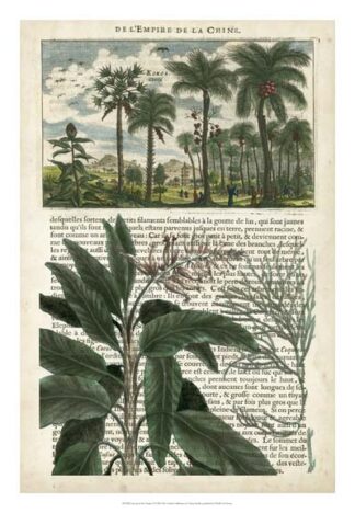 Journal of the Tropics I
