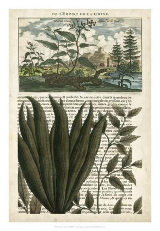 Journal of the Tropics III