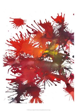 Fireworks Display II