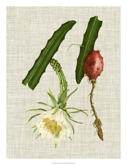 Elegant Tropicals II