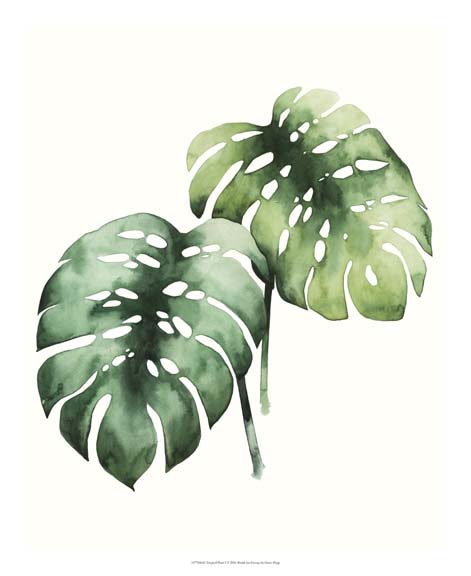 Tropical Plant I