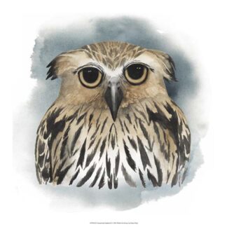 Greenwood Animals II