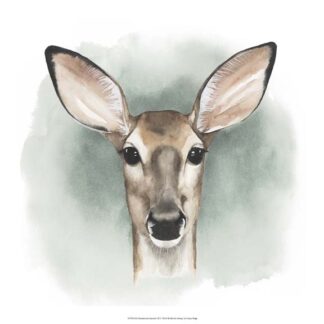 Greenwood Animals III