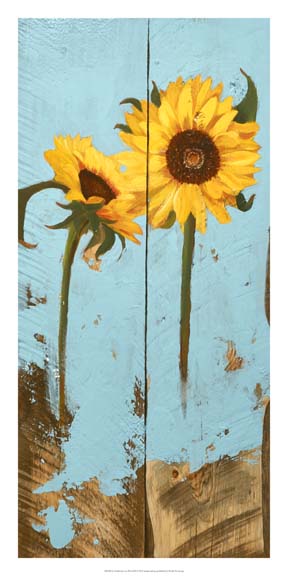 Sunflowers on Wood III