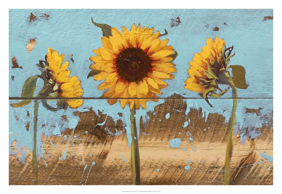 Sunflowers on Wood IV