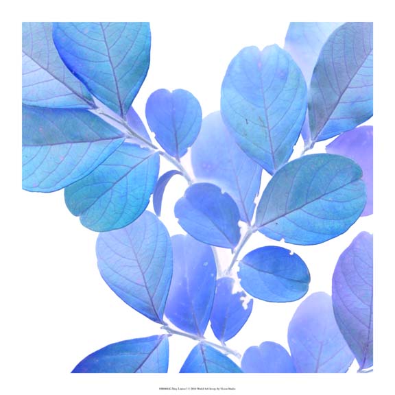 Xray Leaves I