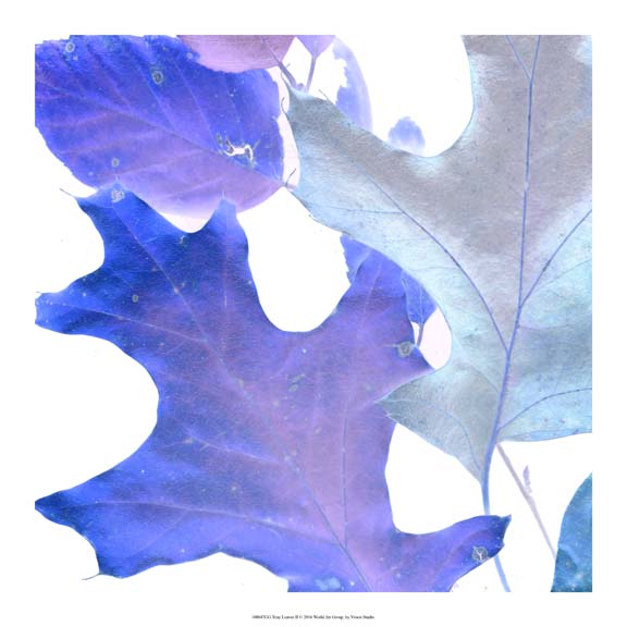 Xray Leaves II