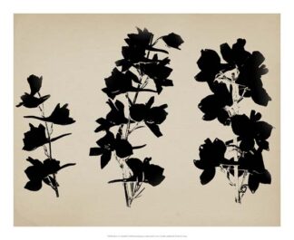 Beauty of a Friend II