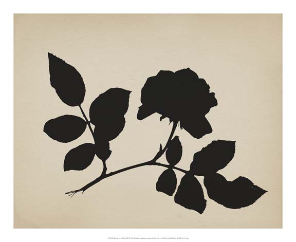 Beauty of a Friend III