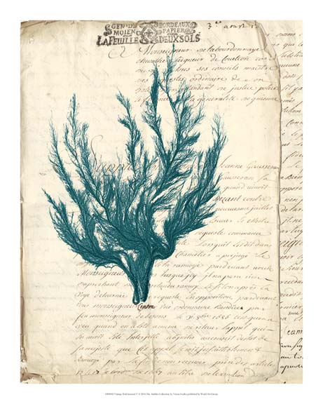 Vintage Teal Seaweed V