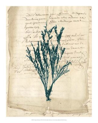 Vintage Teal Seaweed VIII