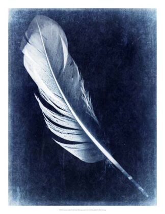 Inverted Feather I