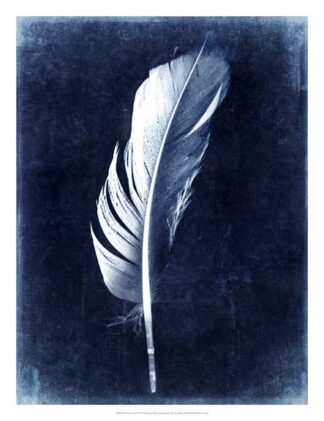 Inverted Feather II