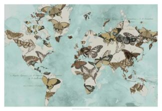 Migration of Butterflies