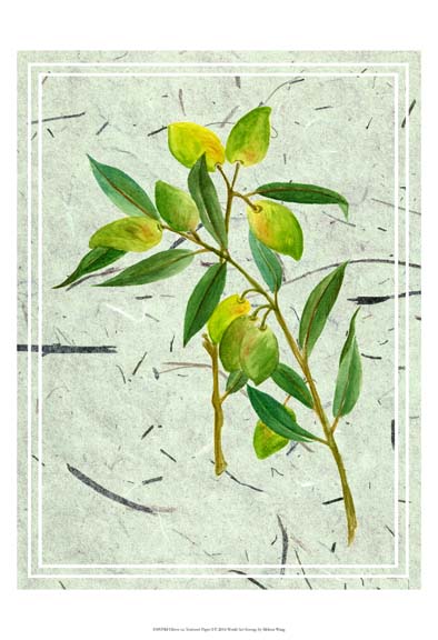 Olives on Textured Paper I