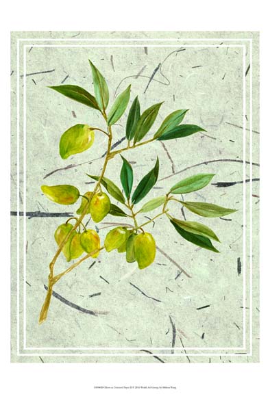 Olives on Textured Paper II