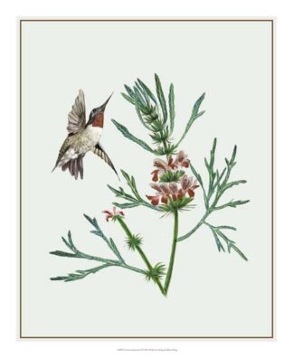 Leonurus Japonicus II