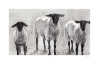 Rustic Sheep II