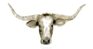 Longhorn Steer I