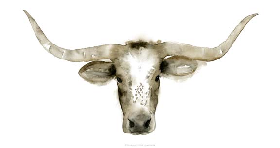 Longhorn Steer I