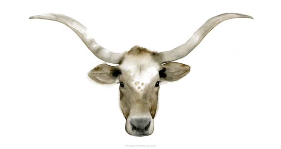Longhorn Steer II